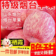 正宗山东烟台苹果水果新鲜脆甜当季丑平果5斤9斤新果冰糖心凉山