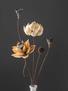 �ɻ������滨�b[���ɻ��L��ɏ��ɏź�U��廨��ʽ�͏d�[�O