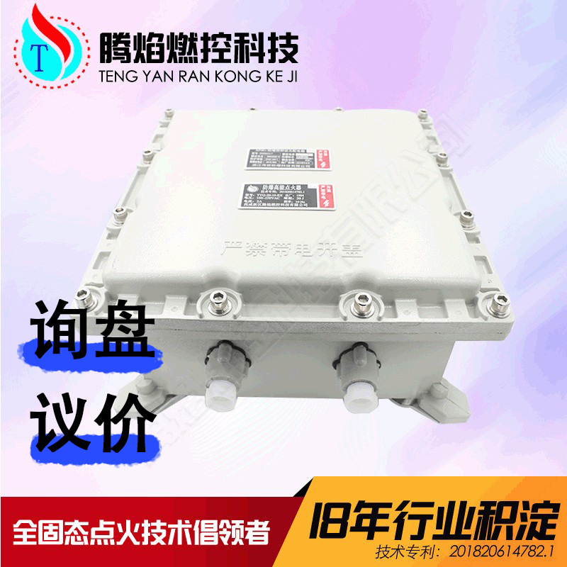 防爆高能点火器 防爆电点火装置防爆点火装置 腾焰燃控源头厂家