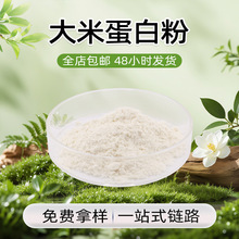 现货速发植物源高持油性花生烘焙适用性价比优植物提取大米蛋白粉