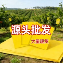 �S���p��ճ�x������ճ�x�����T�x���@��ɽ��U�E�R��ω�T��������