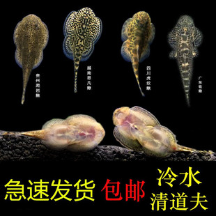 ��ˮ��������q�F�������q���~�����~�^�p�~���w��ˮ�~���\�����~