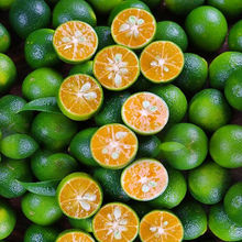 ����С���������ļ��Y����ۙ��ʼ޽�С����̨���Ե���ͥԺ