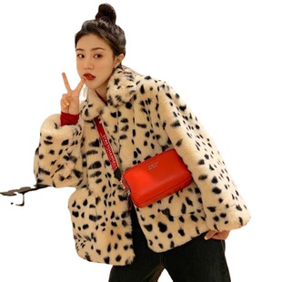 �n��2024�¿���c���y����Ů���b�¿��Ƥ�����·��I���Q