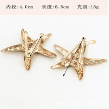 ���ǲ�Ҏ�t���b�\�Ͻ���������� �r�����I�I���{���b�