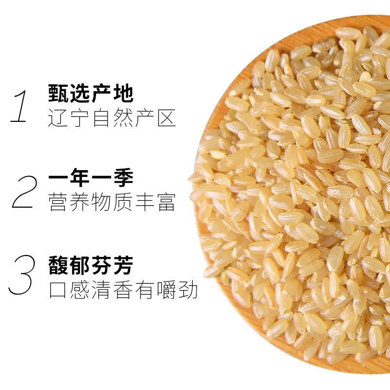 undefined5 Cereals rice Coarse grains Germ Steamed Rice Grain Coarse Cereals M. Northeast China Riceundefined