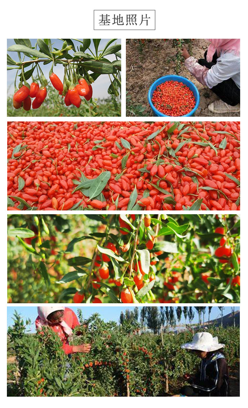 Goji Berry Red Date Longan Rose Fruit Tea 50g Dried Wellness Blend for Daily Brewing quality and texture
