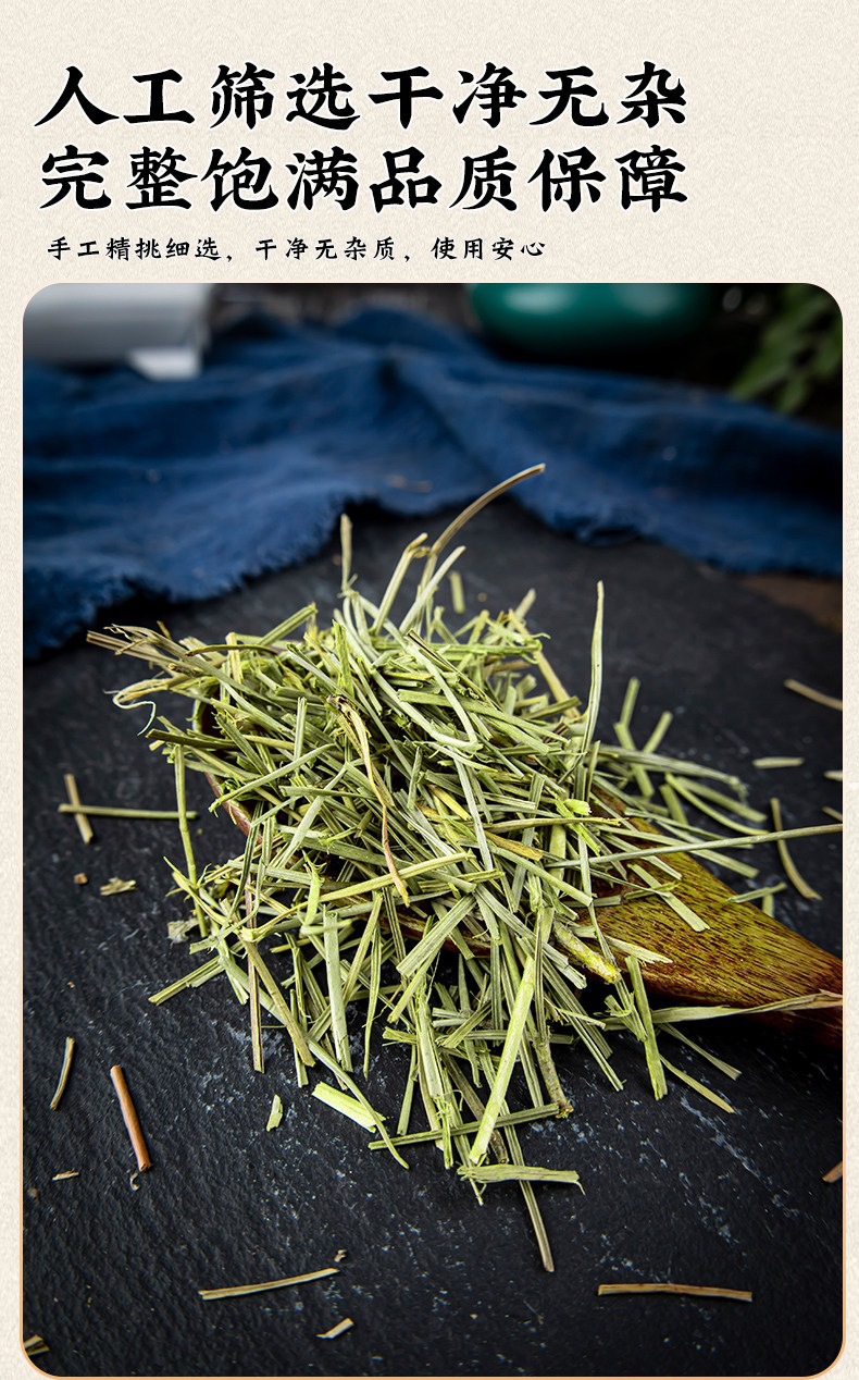 Dried Pine Needle Tea Song Zhen 500g Loose Herbal Tea for Daily Infusions specifications