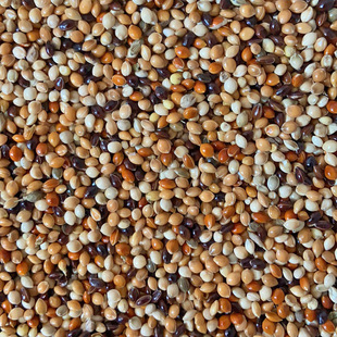 ��Ƥĵ�����P��С���W�^�Bʳ�����ɫ�����W�^��ϼZ����