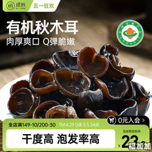 无根秋木耳黑木耳干货小碗耳东北木耳肉厚朵小凉拌炒菜100g