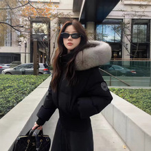 ���������¿���ʽ�̿������@���޷�����ŮС���Ӹ�����ɫ�ӽq����