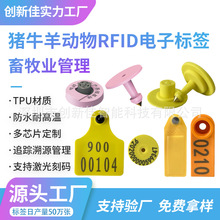 低频动物耳标 超高频RFID动物电子标签 猪牛羊动物耳标生产厂家