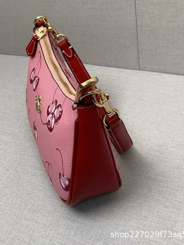 Europa y América Cross-border C Home New Cherry Blueberry Fruit Impreso Bolso Teri Axilas Bolso de mensajero de un solo hombro para llevar