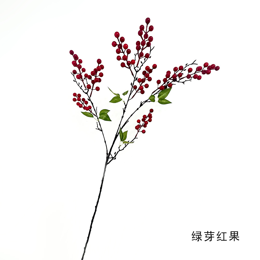 녹색 새싹과 붉은 과일