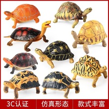儿童玩具实心仿真海洋生物动物模型印度星龟乌龟陆龟海龟鳄龟象龟