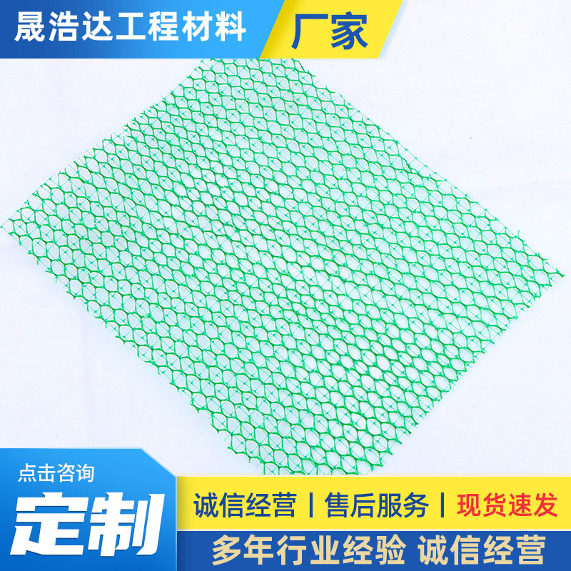 三维植被网河道治理山体护坡加固绿化植草固土两层三层三维植被网