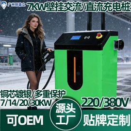 汽车充电桩;新能源充电桩;快速充电桩