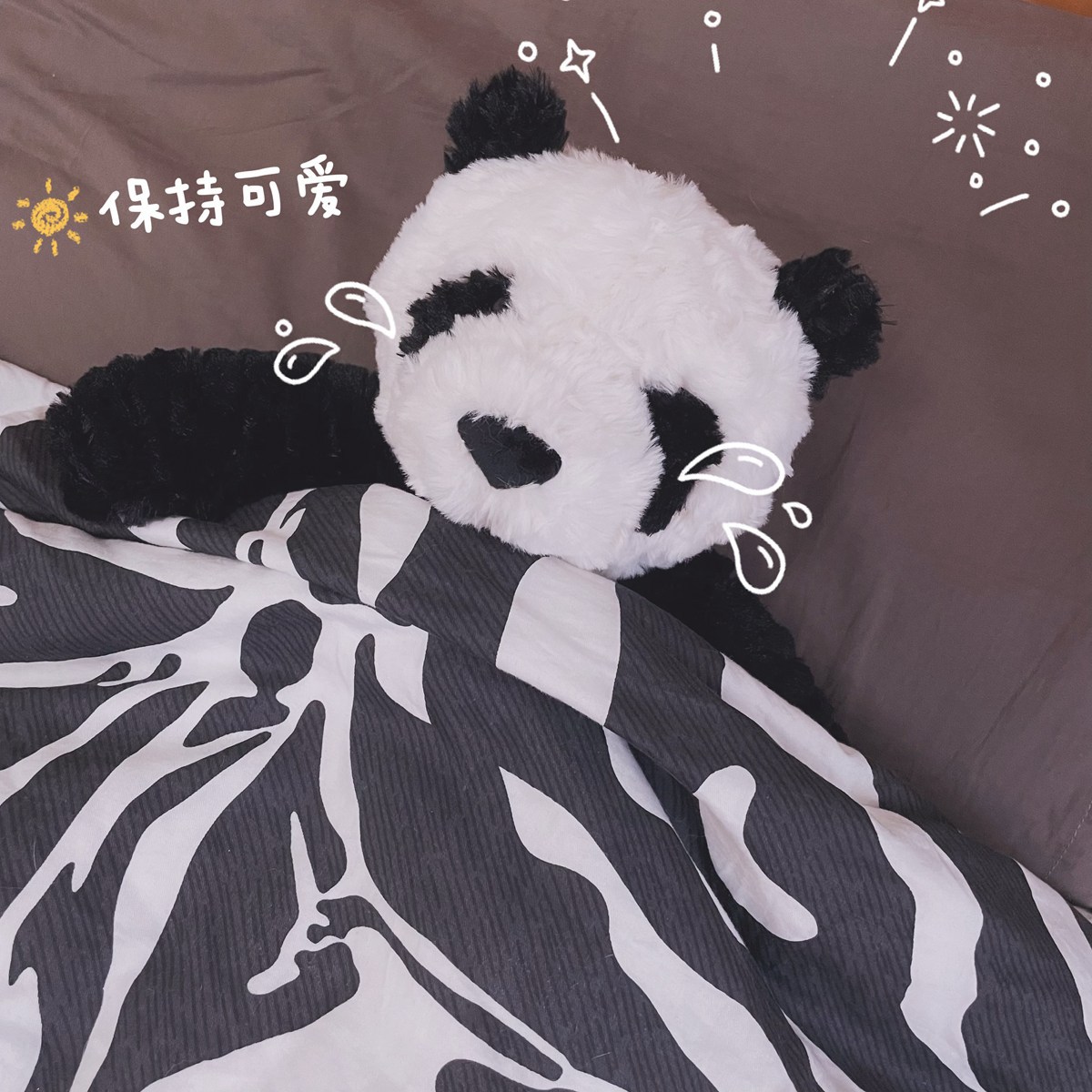 09-公仔熊猫 (27).jpg