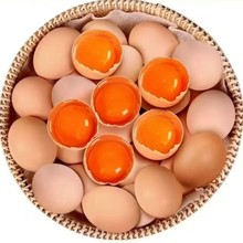 山鸡蛋草鸡蛋土鸡蛋富硒虫草鸡蛋土鸡蛋正宗散养大量批发