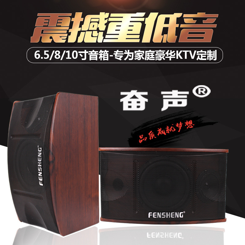 Fensheng/Home Karaoke Speaker 6.5/8/ 10inch Passive Speaker for Ktv, Shop, Conference, Dance Training Room