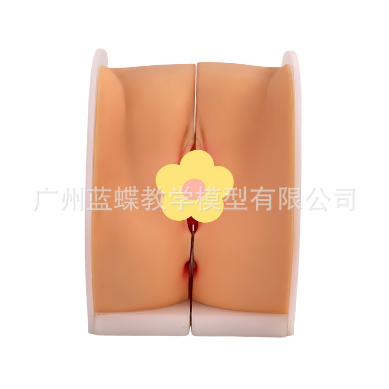 ��ѧŮ����ֳ�����ӹ��������ѳ� ����ָ��ģ�� �ƻ��������Ƽ��