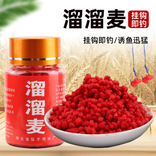 �������~�DҰធ��h�w���D�� �����������~�D �ڿӸ���Ѫ�����D��