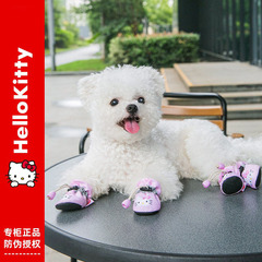 Pet Soft Sole Shoes Four Seasons Small Dog Shoes Mini Dog Non-Slip Spring Thin Indoor Paws Summer Breathable