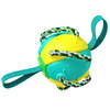 Street interactive frisbee for training, football toy, pet, wholesale, city style