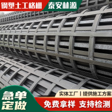 厂家直供钢塑土工格栅 稳固地基高速公路加基加固钢塑 土工格栅