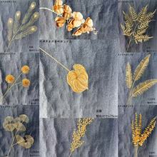 ��������ɫ���滨�y���~�ȼ����lؔ���t�� �����b�����帣Ͱ