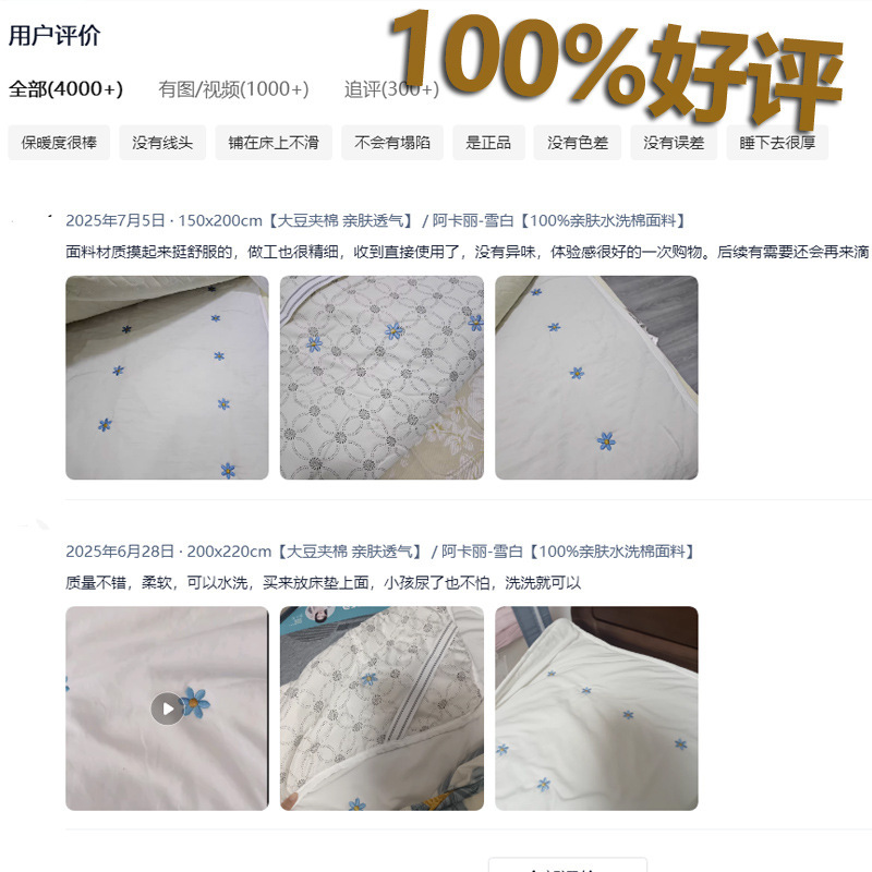 2025新款大豆夹棉刺绣床垫家用软垫1.5米薄款垫被褥子防滑床护垫|undefined