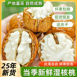 2025����؛ȥ��Ƥ����ұ���Ұ�����r�������Ϙ�5���خa���½�