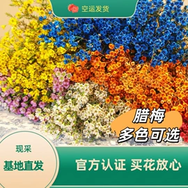 鲜切花;鲜花花艺制品;手捧花