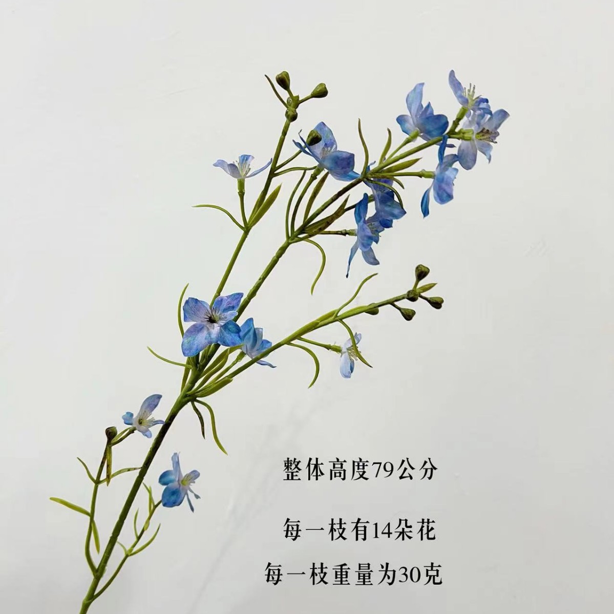 Gum 지점 Chibirdweed-블루