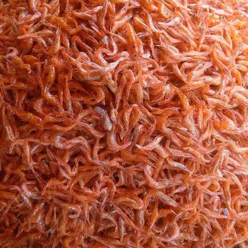 微信图片_20210529103420