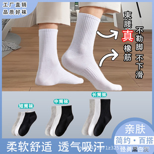 Belted Socks Men's Mid-length Socks Breathable Sweat Absorbing All-match Short Socks Odor-proof Four Seasons Sports Socks Solid Color Stockings