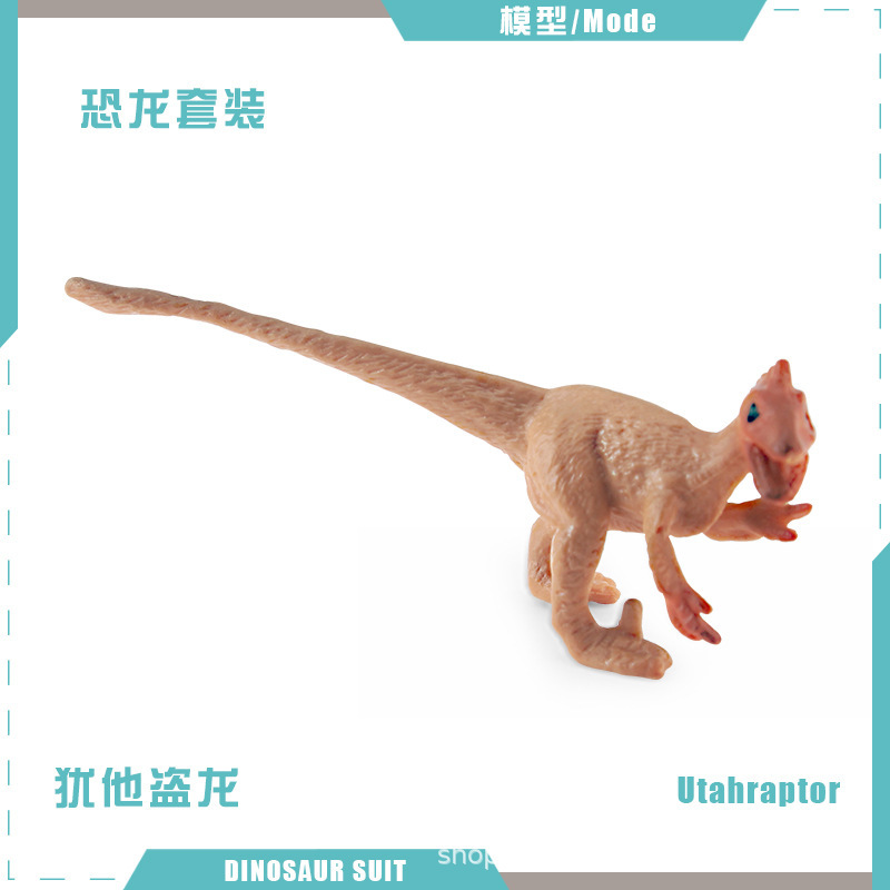 Modelos realistas de mini dinosaurios jurásicos transfronterizos: figuras de pterodáctilo, estegosaurio, parasaurolophus, velociraptor, therizinosaurus, ornithoraptor.