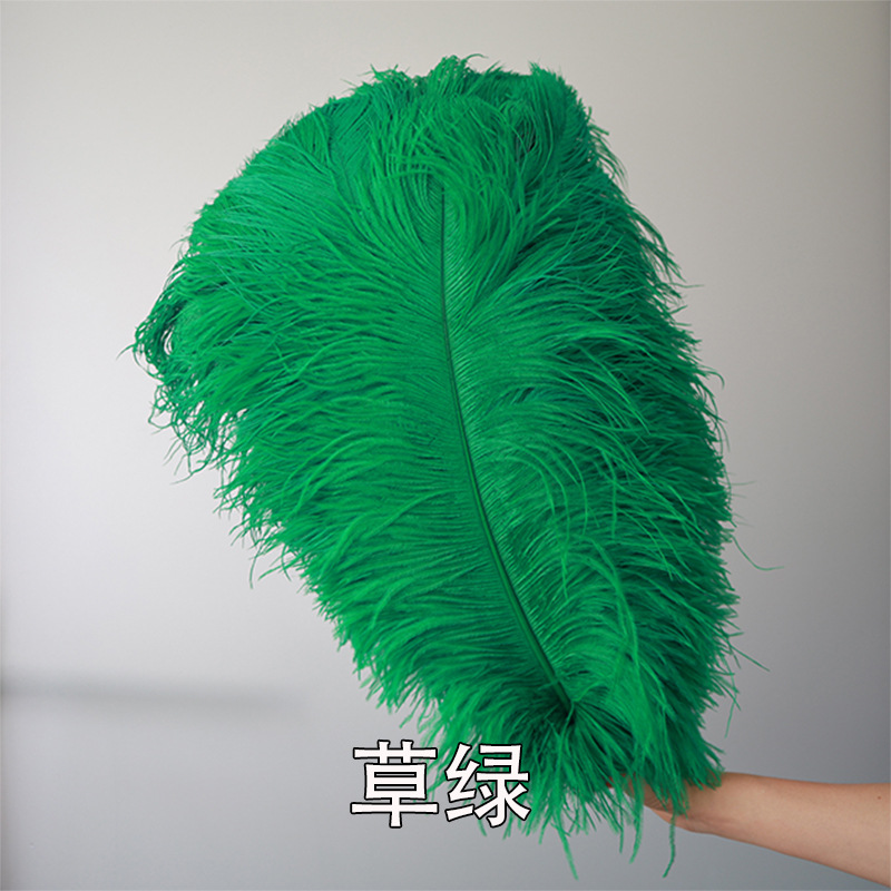 Fabricantes de pelaje de avestruz 50 - 55CM boda guía de la mesa flor de plumas de avestruz adornos de red pared roja plumas de espectáculo de escenario image 11