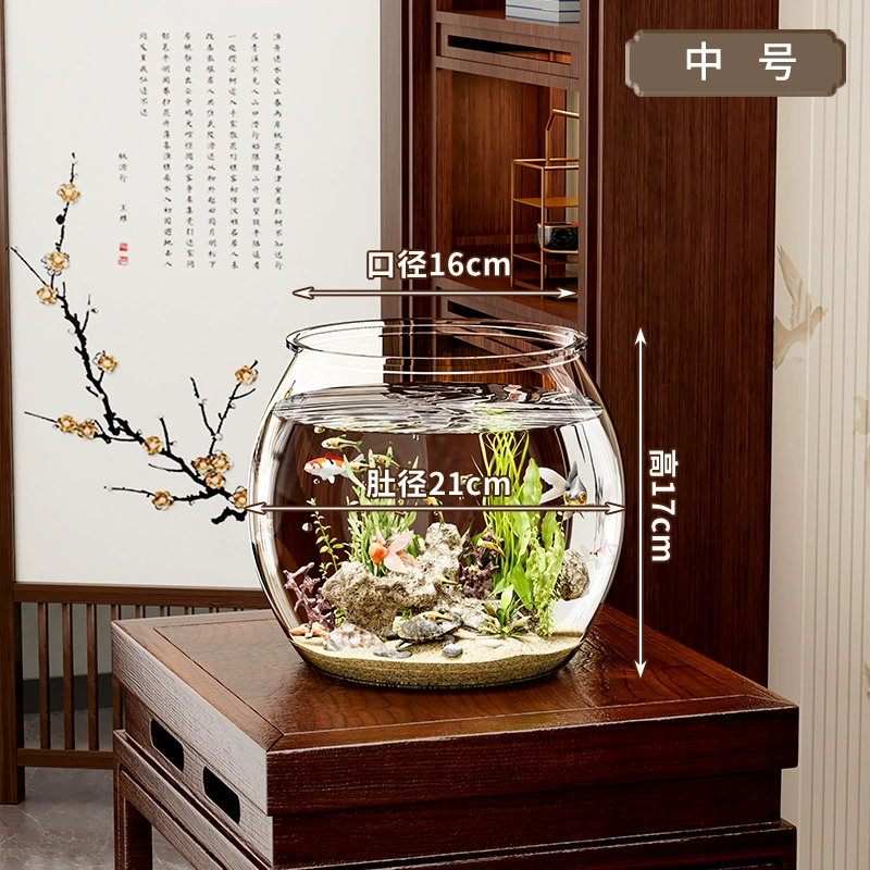 Transparent small square acrylic aquarium for office