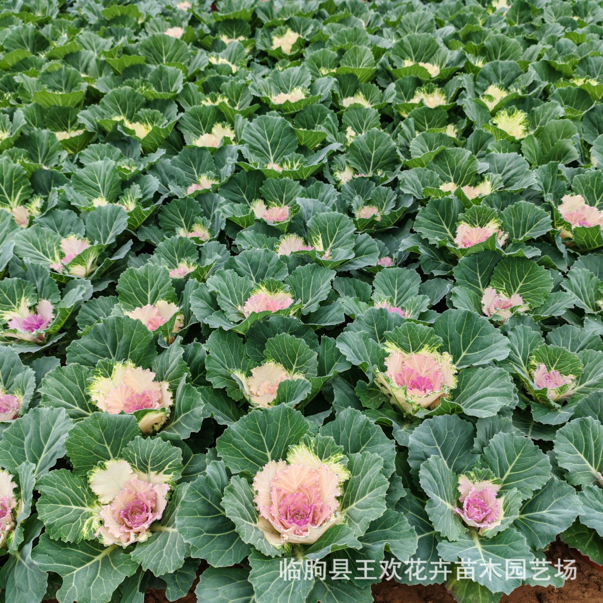 d01a2537-021e-4d96-a81b-1b0aa1