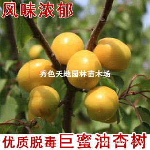 ������Ʒ�N�Ә����޽Ӿ��������Ә����ش����������Ϸ�����ͥԺ