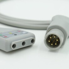 mHolter6ᘱOox35늌 | w늌