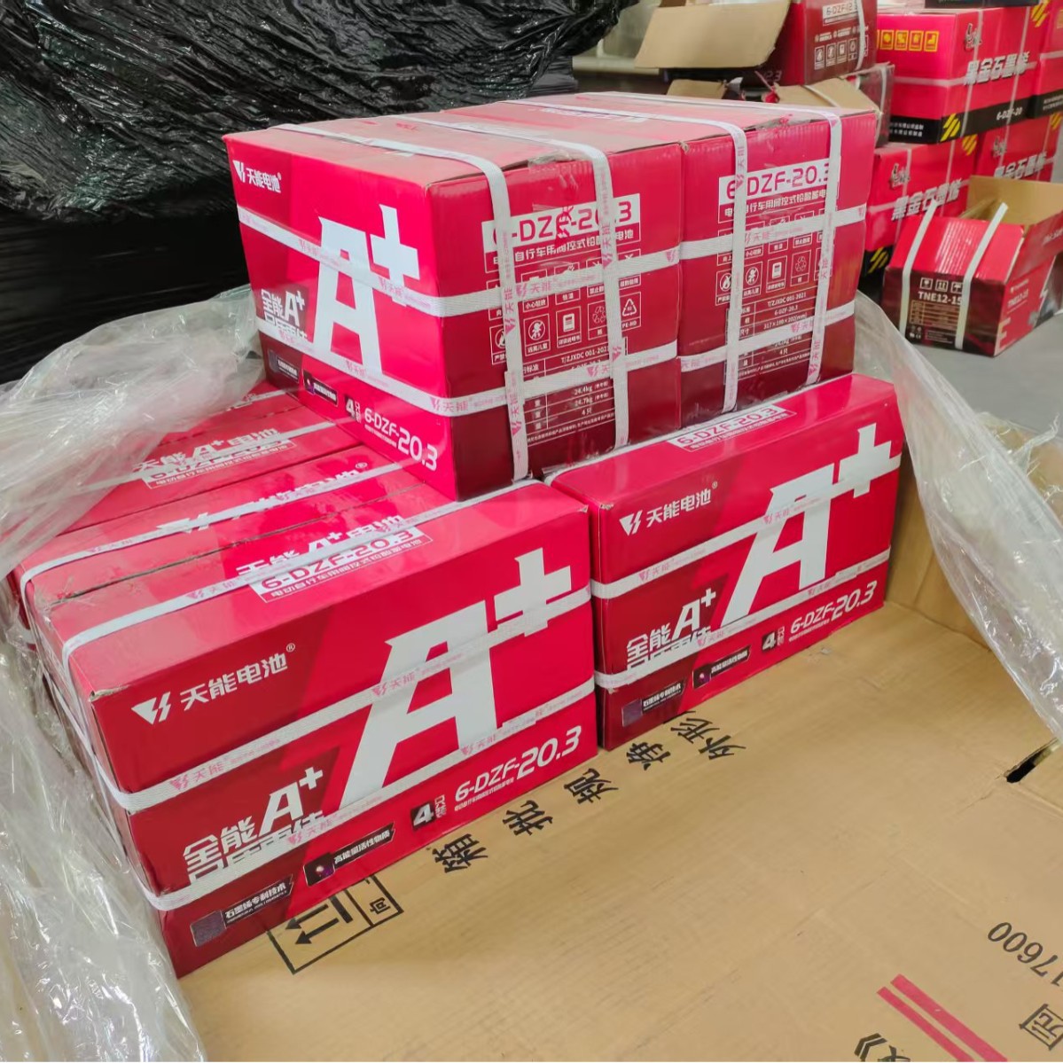 Batería 48V12A Tianneng Chaowei Batería de vehículo eléctrico Batería de plomo-ácido