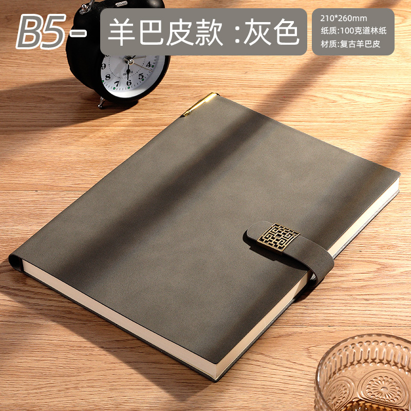 B5 gray pen plug -in