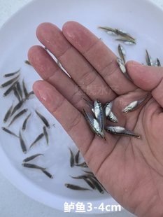 ���|�����|�~�����޴���|�~���~����w��ˮ�Bֳ�����~·���~��~