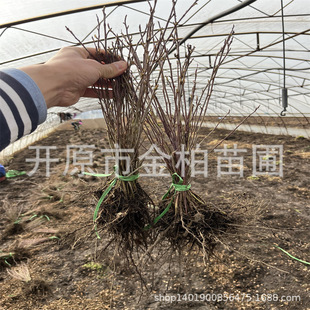 �༾��õ����ͥԺ����ֲ���ļ�õ�兲���G�h�t��õ����õ��С��