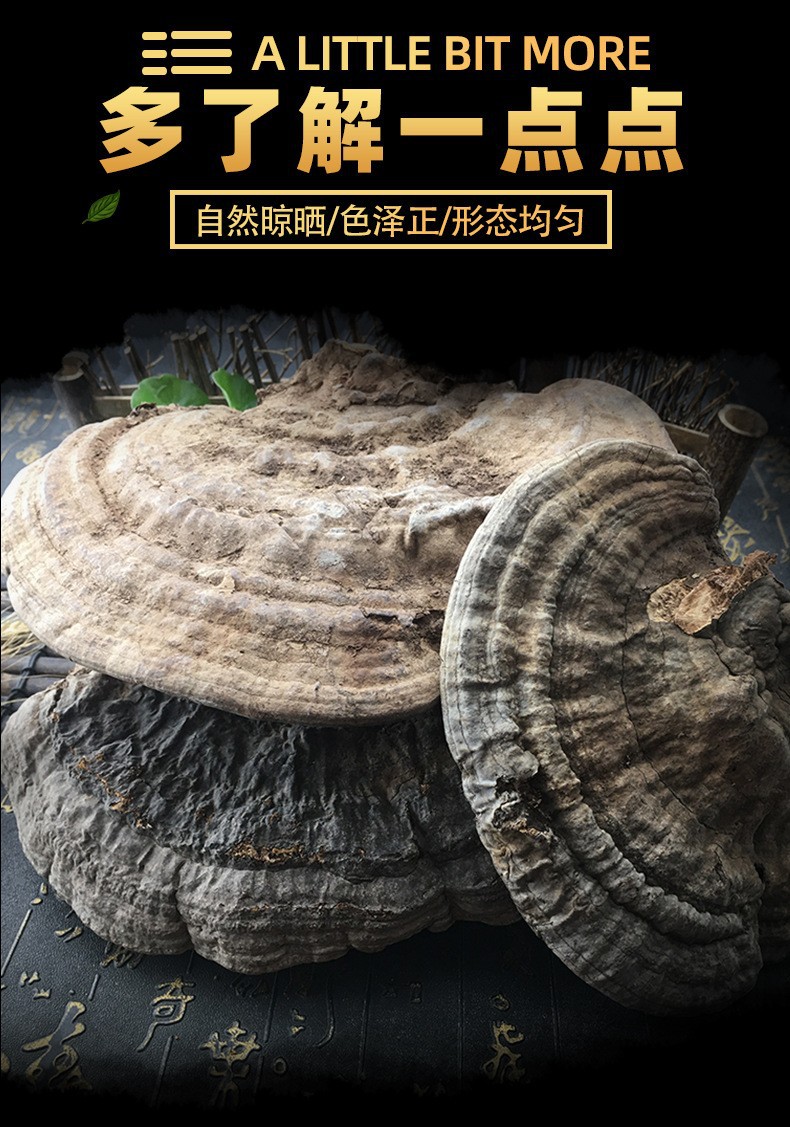 Dried Tree Tongue Lingzhi Shu She Zhi Bulk Whole Slices Traditional Herbal Decoction Ingredient 500g key features