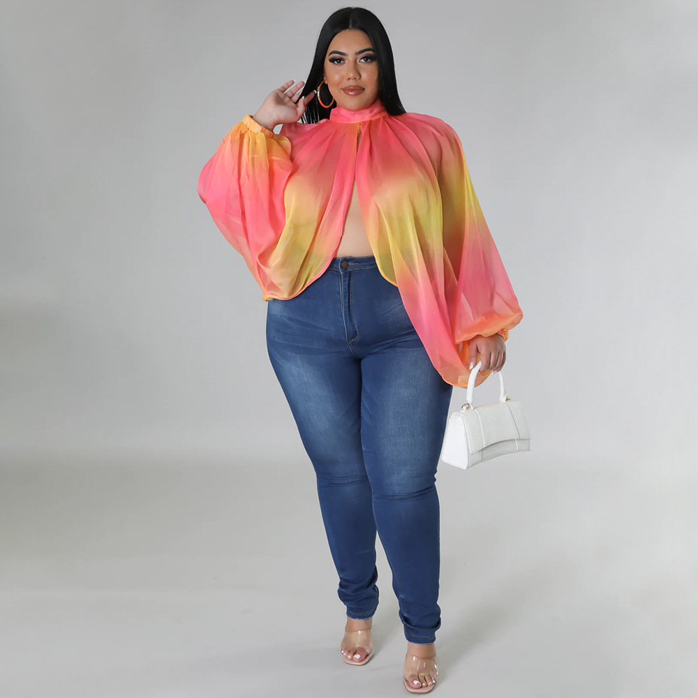 252g Weight Long Sleeve Sleeve Length Regular Sleeve Sleeve Type Spandex, Polyester, Chiffon Fabric Type Long Top Length Blouse Tops Type Daily, Street Occasion Round Neck Neckline Regular Fit Fit Type Color Block Pattern Spring&Summer Season Streetwear Style Blouse Long Sleeve Plus Size Tops Streetwear Color Block 53