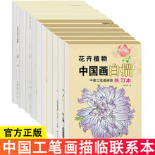 中国画白描入门描摹本国画工笔国风古风花卉人物套装底稿线稿描红