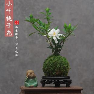 ̦�\��С�~�d�ӻ��辰�҃��k������������Gֲ����С�����ֲ̨��